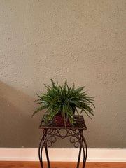 Artificial PVC Button Fern Arrangement in Decorative Square Container