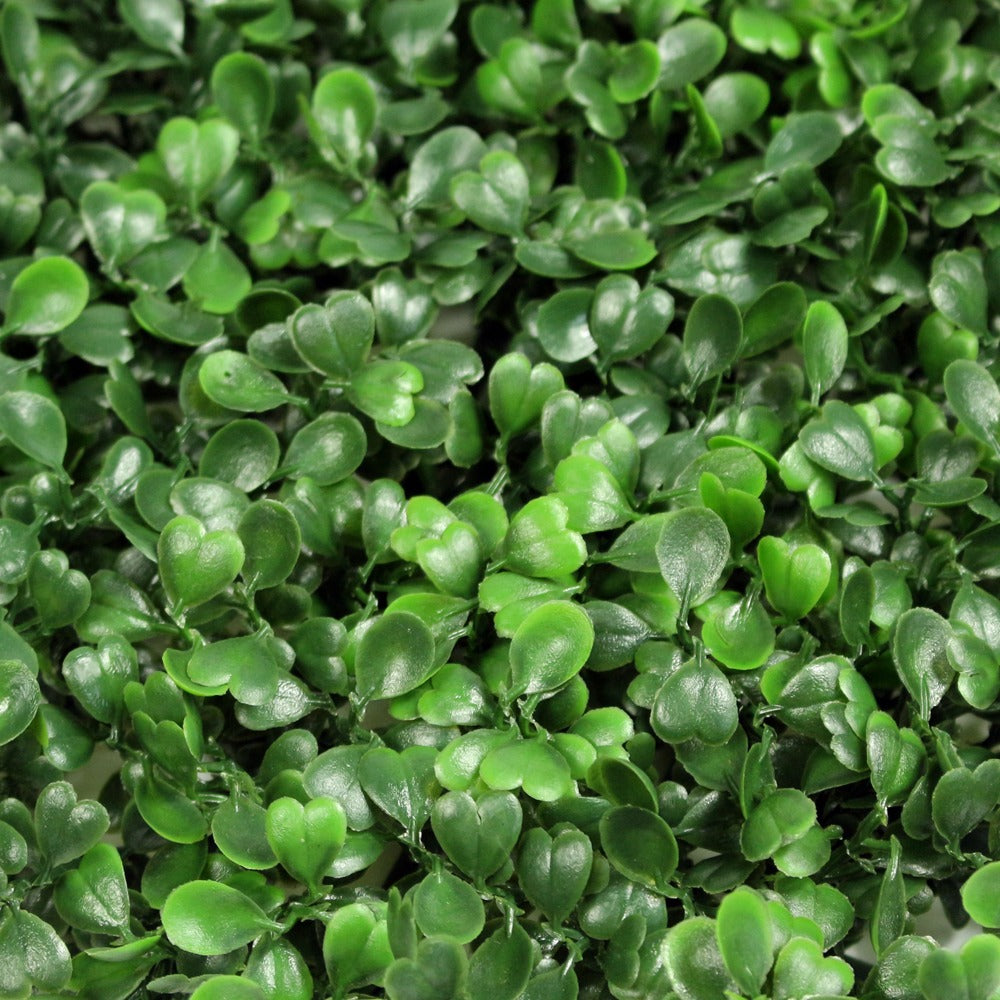 UV Rated Boxwood Mat Close Up View Silk Plants Canada