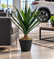 36 inch artificial PVC African Dracaena in an included black pot on the floor beside seating in a car dealership customer lounge, a vehicle softly blurred well behind