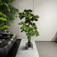 57 inch Artificial PVC Bonsai Pine in Black Container