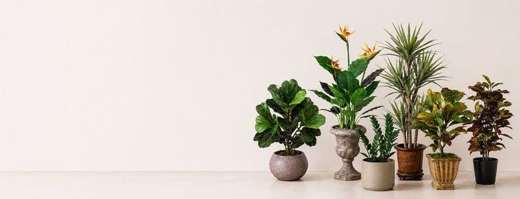 Premium artificial silk plants and trees by Silk Plants Canada