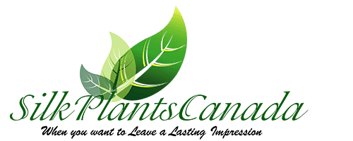 Welcome to Silk Plants Canada.  When you want to Leave a Lasting Impression!