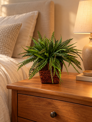 Artificial PVC button fern in a brown square decorative container on a wood nightstand beside a bed