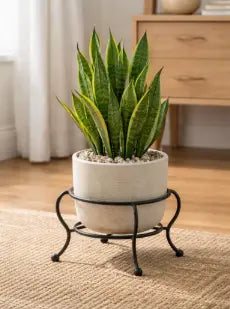 small decorative metal plant stand displaying a snake plant