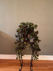 Limited Edition Trailing Faux Coleus Arrangement in Ornate Lattice Metal Planter