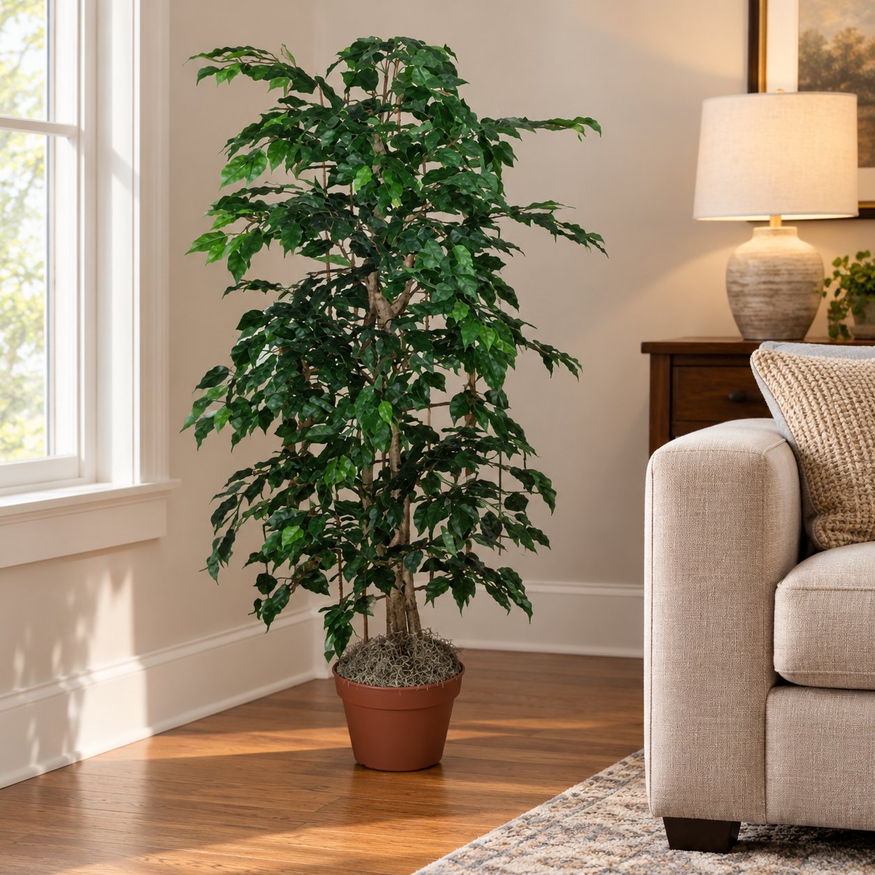 4 Foot Artificial Silk Ficus Bush Custom Made on Natural Wood in a home living room, in its included grower’s pot.