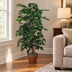 4 Foot Artificial Silk Ficus Bush Custom Made on Natural Wood in a home living room, in its included grower’s pot.