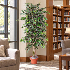 6 Foot Artificial Silk Ficus Bush Custom Made on Natural Wood in a public library reading lounge beside reading chairs, displayed in its included grower’s pot.