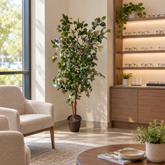 6 Foot Artificial Silk Camellia Tree Display Model in an optical shop waiting lounge, displayed in its included grower’s pot.