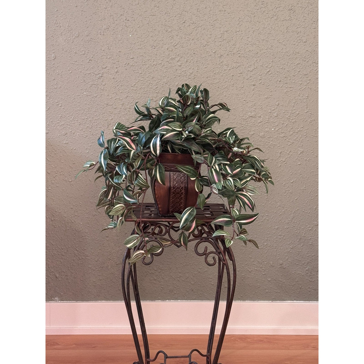Original photograph of the two artificial Wandering Jew ivies in their included two-tone brown metal container; display stand not included.