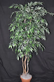 Artificial Trees-10 Foot Artificial Silk Smilax Tree Custom Made on Natural Wood-Silk Plants Canada