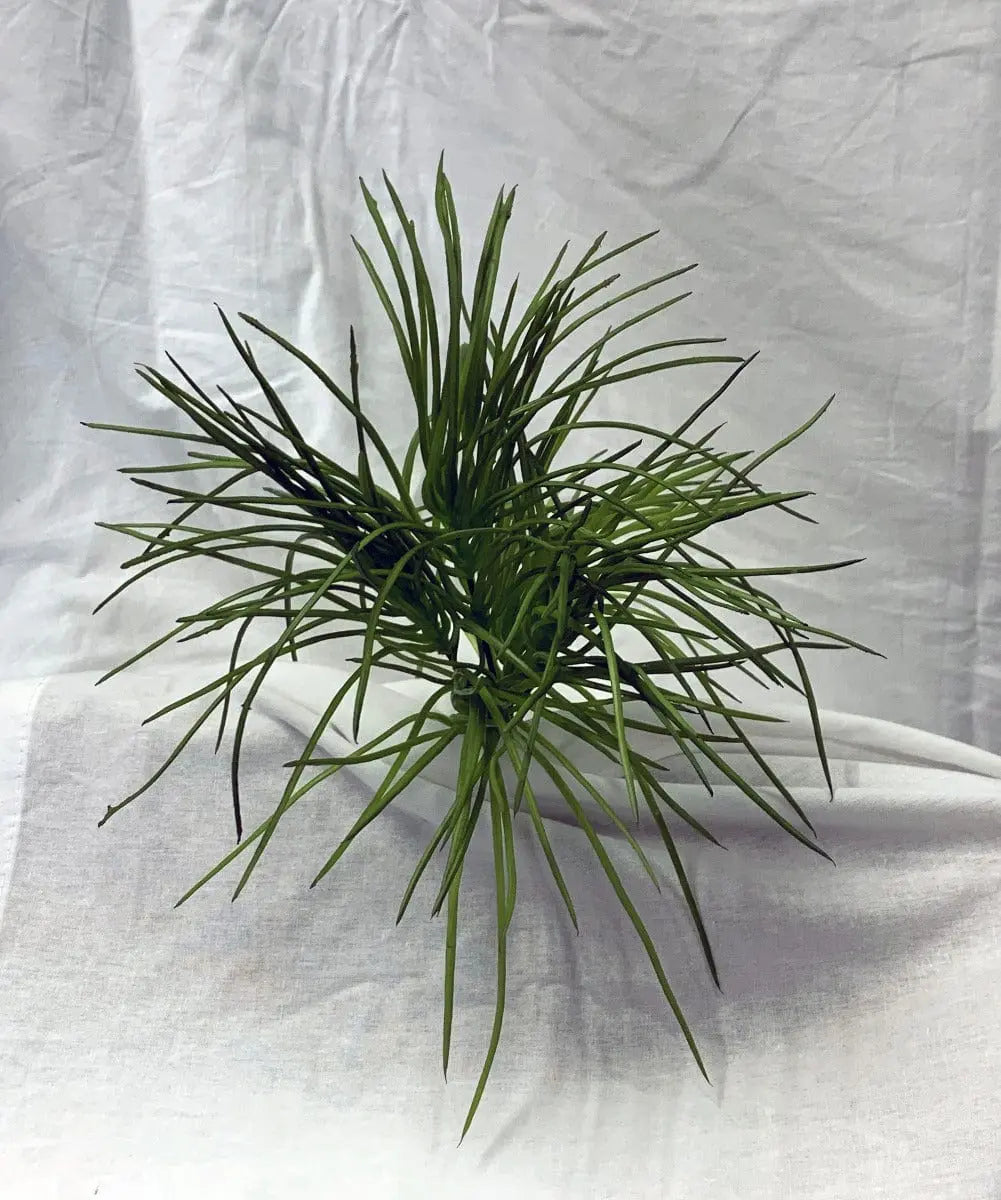 Artificial Flora-10 inch Green Artificial Soft PE Grass Bush for Indoor and Outdoor-Silk Plants Canada