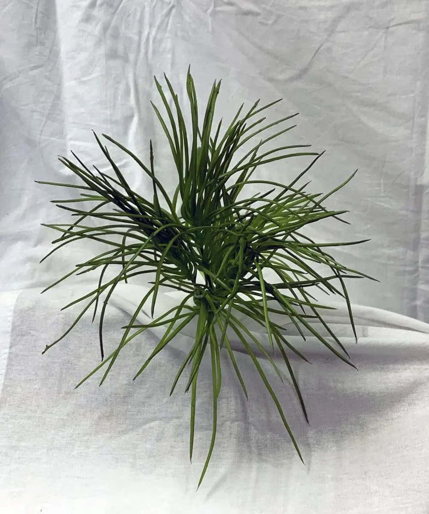 10" Artificial Soft PE Grass Bush Green Silk Plants Canada