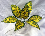 Artificial Flora-12 inch Artificial Golden Dieffenbachia Plant | Silk Plants Canada-Silk Plants Canada