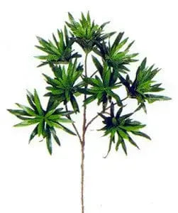 17 inch Artificial Silk Podocarpus Branch Silk Plants Canada