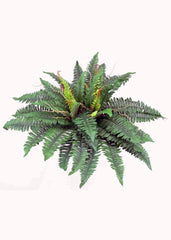 18 inch Artificial Silk Boston Fern Two Tone Green with Tendrils Silk Plants Canada