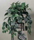 24 Inch Artificial Silk Philodendron Trailing Ivy