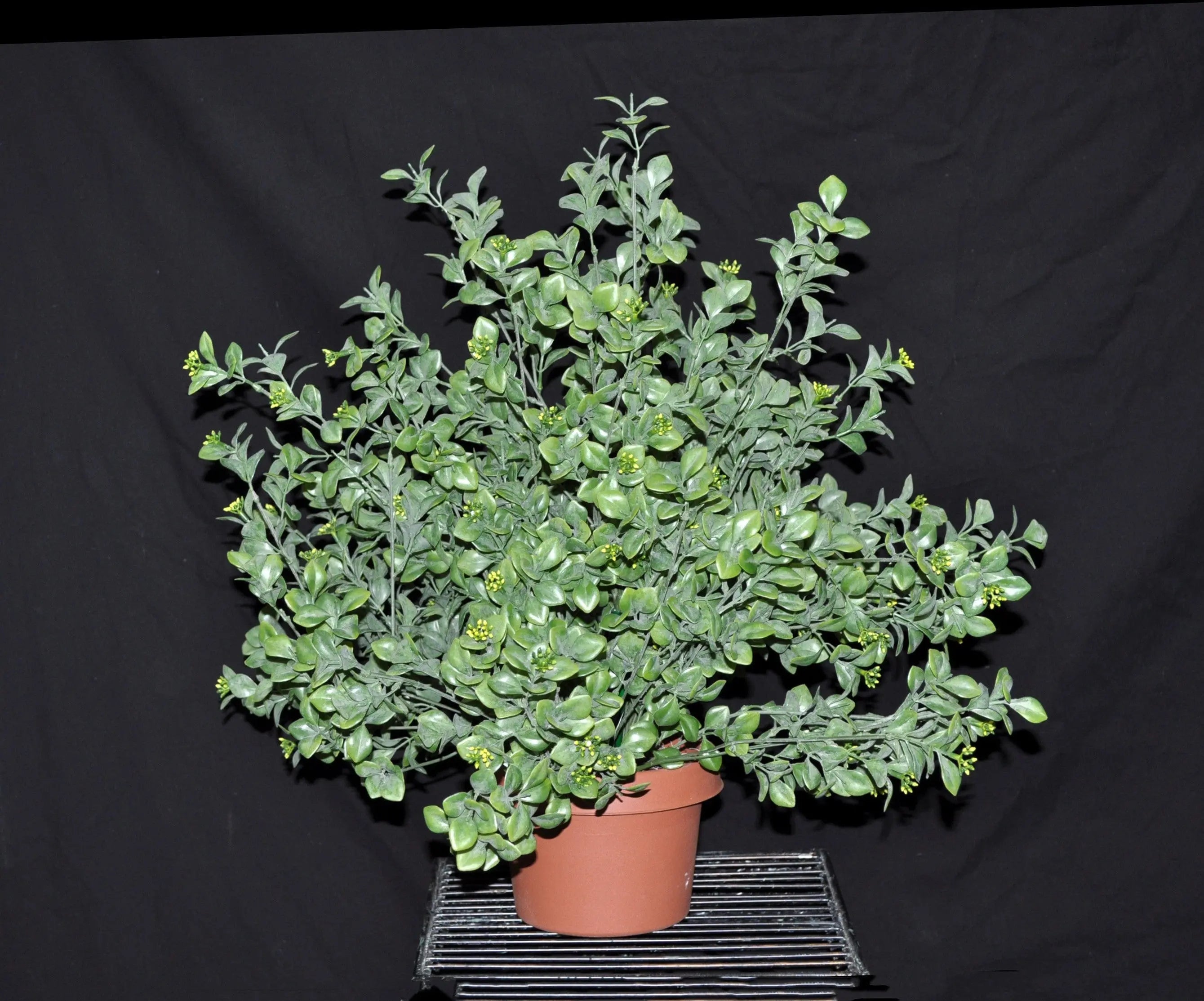 24 inch Artificial PVC Boxwood Bush Silk Plants Canada