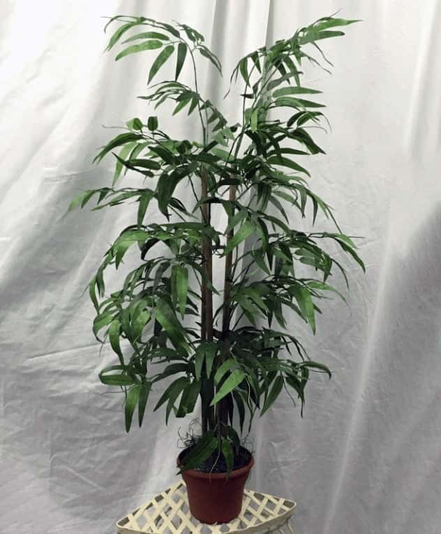 3 Foot Artificial Silk Bamboo Palm Tree  on Natural Wood Silk Plants Canada