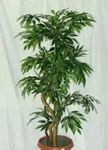 3 Foot Artificial Silk Ruscus Tree on Natural Wood Silk Plants Canada