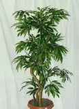 3 Foot Artificial Silk Ruscus Tree Custom Made on Natural Wood