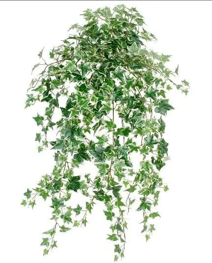 30 inch Artificial Silk Sage Mini Leaf Ivy Variegated Silk Plants Canada