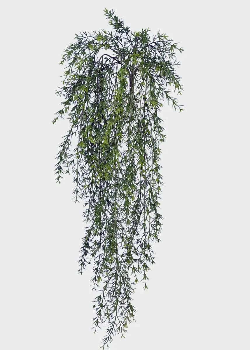 35 inch Artificial PVC Asparagus or Sprengerii Leaf Trailing Bush Vine Silk Plants Canada