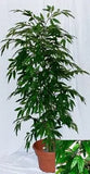 4 Foot Artificial Silk Peach Tree  on Natural Wood Silk Plants Canada