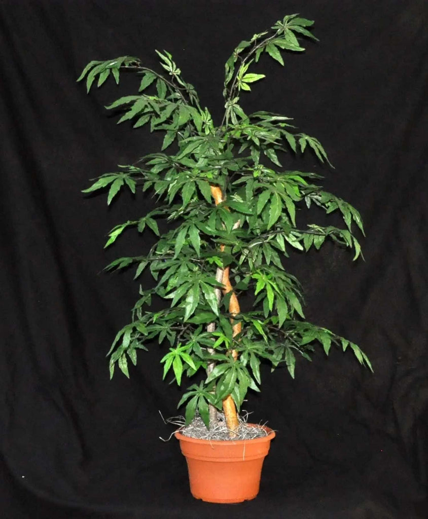 40 inch Artificial Silk Japanese Maple TreeMarijuana Tree