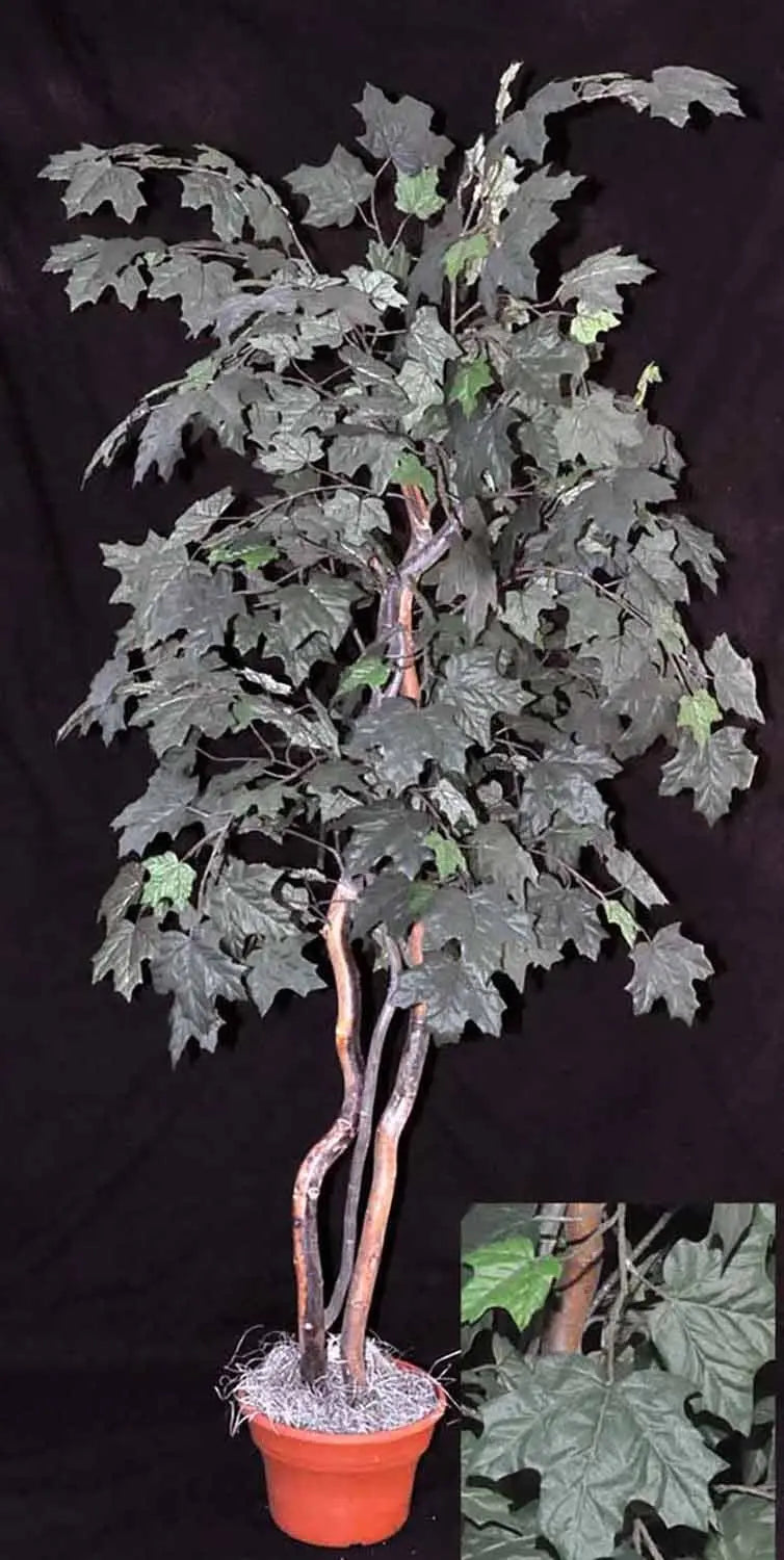 5 Foot Artificial Silk Canadian Maple Tree on Natural Wood Silk Plants Canada