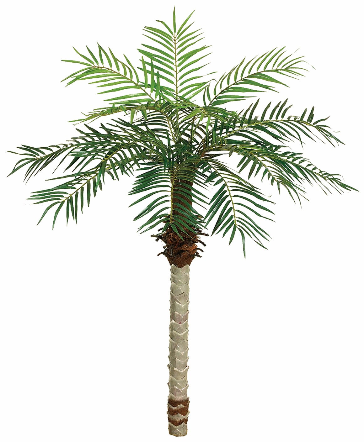 5.5 Foot Artificial Silk Date Palm Tree for Indoor and Outdoor Silk Plants Canada