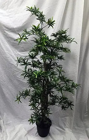 55 inch Artificial Silk Podocarpus Tree Custom Made on Natural Wood Silk Plants Canada