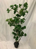 58 inch Artificial Silk Variegated Pittosporum Tree Custom Made on Natural Wood Silk Plants Canada
