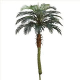58 inch Artificial Silk Phoenix Palm Tree for Indoor and Outdoor