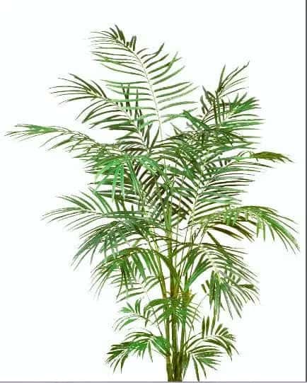 6 Foot Artificial Silk Areca Palm Tree Silk Plants Canada