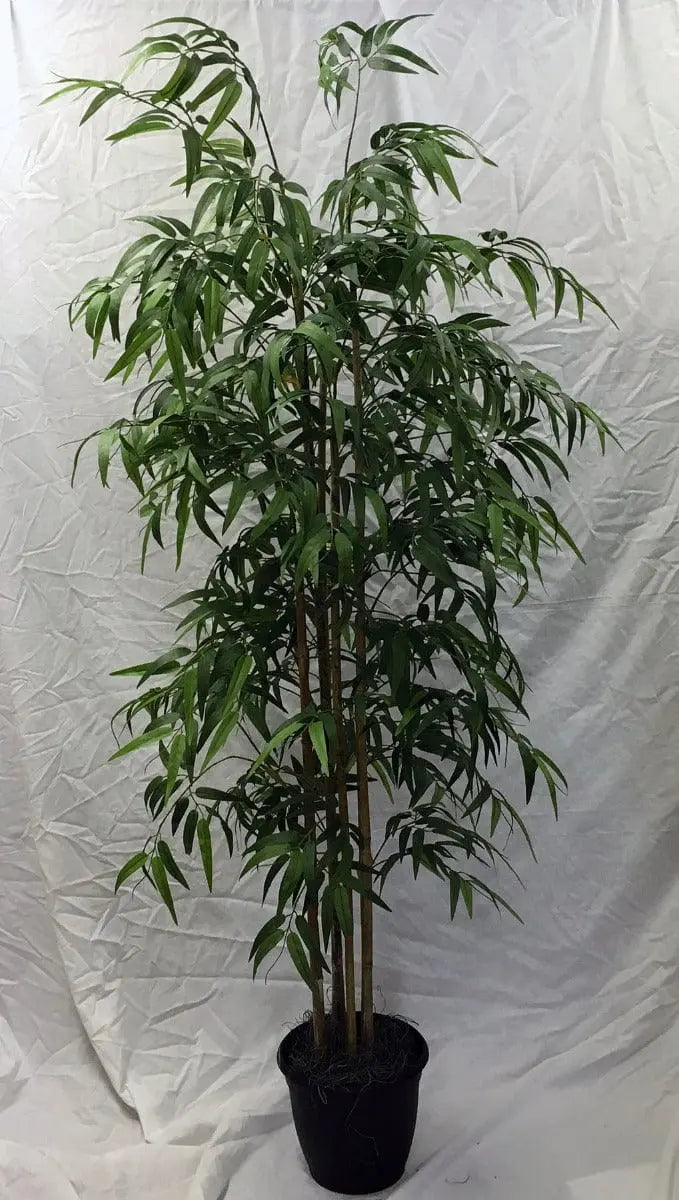 6 Foot Artificial Silk Bamboo Palm Tree  on Natural Wood Silk Plants Canada