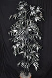 6 Foot Artificial Silk Bamboo Silver Palm Tree  on Natural Wood Silk Plants Canada