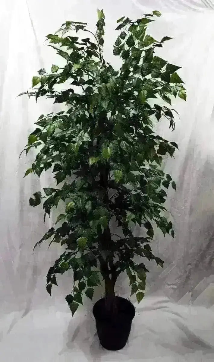 6 Foot Artificial Silk Birch Tree Bush on Natural Wood - Silk Plants Canada 
