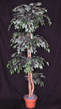 6 Foot Artificial Silk Fig Topiary Tree on Wood Green Leaves Silk Plants Canada