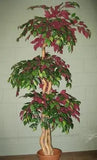 6 Foot Artificial Silk Fig Topiary Tree on Wood-Green Red Leaves Silk Plants Canada