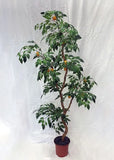 62 inch Artificial Silk Calamondin Orange Tree on Natural Wood for Home or Office Silk Plants Canada