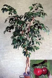 64 inch Artificial Silk Cherry Tree with Cherries Custom Made on Natural Wood Silk Plants Canada