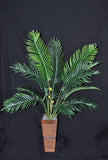 65 inch Artificial Silk Paradise Palm Tree in Deco Container Silk Plants Canada