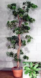 68 inch Artificial Silk Pittosporum Tree on Curly Willow Silk Plants Canada
