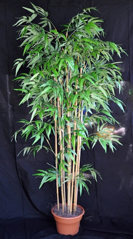 7 Foot Artificial Silk Bamboo Palm Tree  on Natural Wood Silk Plants Canada