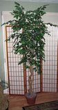 7 Foot Artificial Silk Fig Tree on Natural Wood with Green Leaves Silk Plants Canada