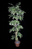 7 Foot Artificial Silk Ruscus Tree Custom Made on Natural Wood
