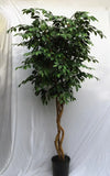 8 Foot Artificial Silk Ficus Tree Made on Natural Wood w Green Leaves