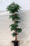 8 Foot Artificial Silk Ming Aralia Tree on Natural Wood Silk Plants Canada