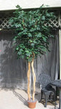 9 Foot Artificial Silk Canadian Maple Tree  on Natural Wood Silk Plants Canada
